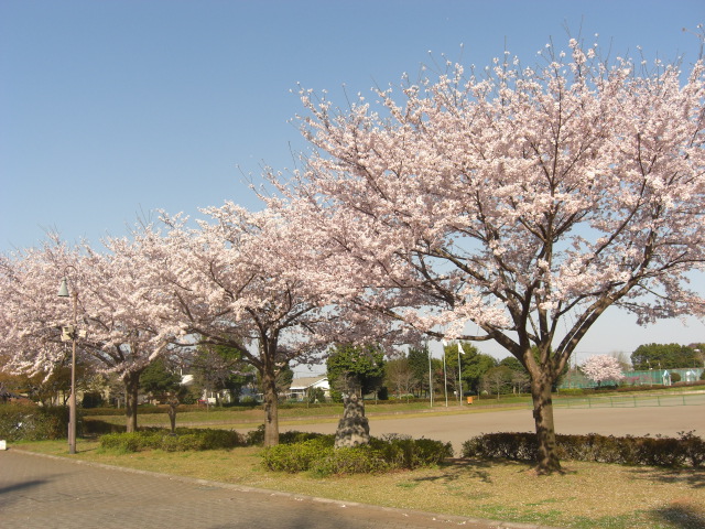 役立ててください_b0209507_11301997.jpg