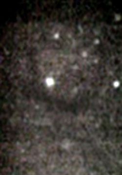 e0103408_130998.jpg