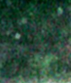 e0103408_1422748.jpg