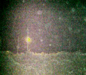 e0103408_1432899.jpg