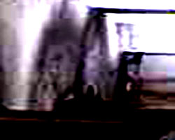 e0103408_1461984.jpg
