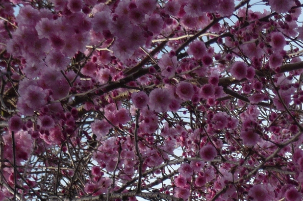 f0221708_2001011.jpg