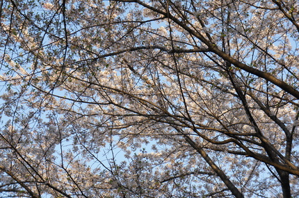 b0166909_17442945.jpg