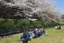太宰府の桜2011_a0042310_12525186.jpg