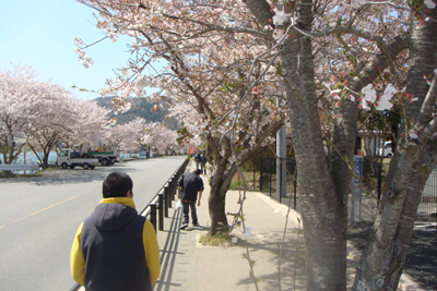 五桂池ふるさと村~天啓公園へ外出!_a0154110_1651777.jpg