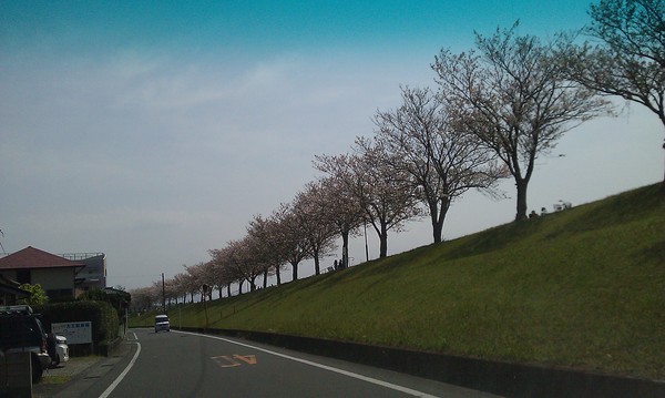 f0153112_1541161.jpg