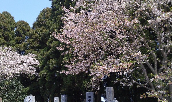 f0153112_1582713.jpg