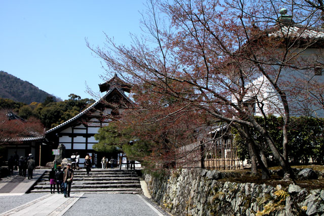 世界遺産の春 天龍寺_e0048413_21185867.jpg