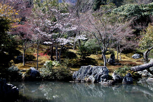 世界遺産の春 天龍寺_e0048413_21192222.jpg