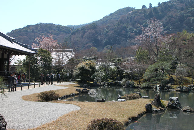 世界遺産の春 天龍寺_e0048413_2119946.jpg