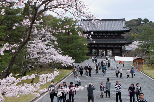 世界遺産の春 仁和寺_e0048413_21505775.jpg