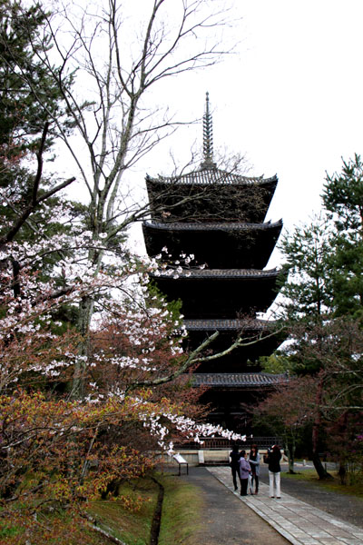 世界遺産の春 仁和寺_e0048413_21511466.jpg