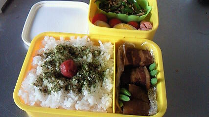 豚の角煮弁当_d0125614_235365.jpg