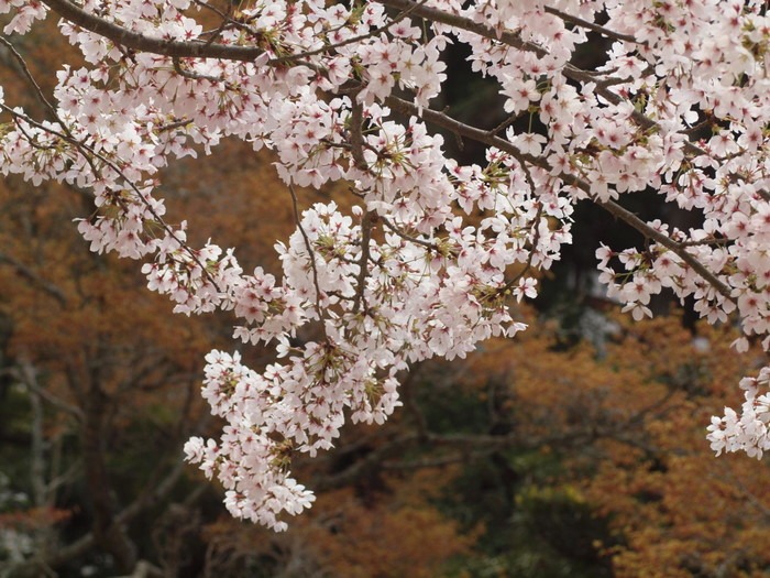 c0116915_2250183.jpg
