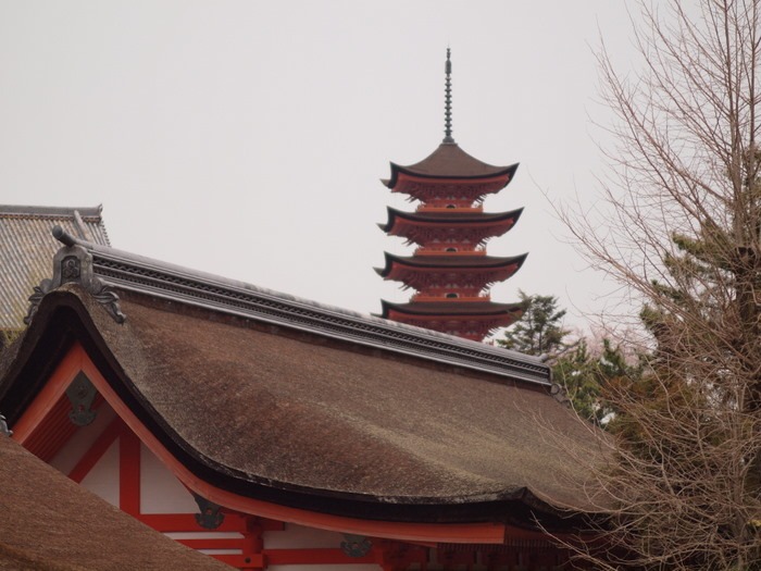 c0116915_22523455.jpg