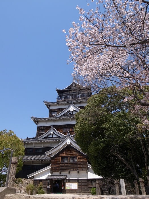 桜と広島城とその周辺_c0116915_2317270.jpg