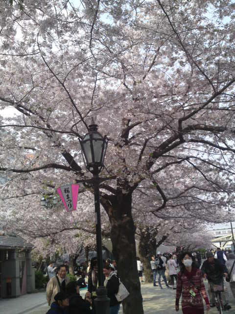 浅草と桜に元気をもらう_d0225318_17122312.jpg