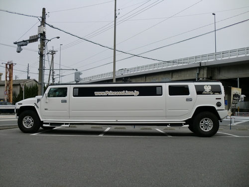 これであなたもプリンセス_a0169219_133692.jpg