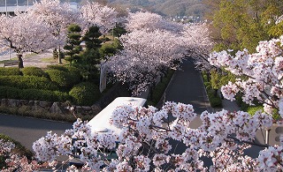 c0166720_18272617.jpg