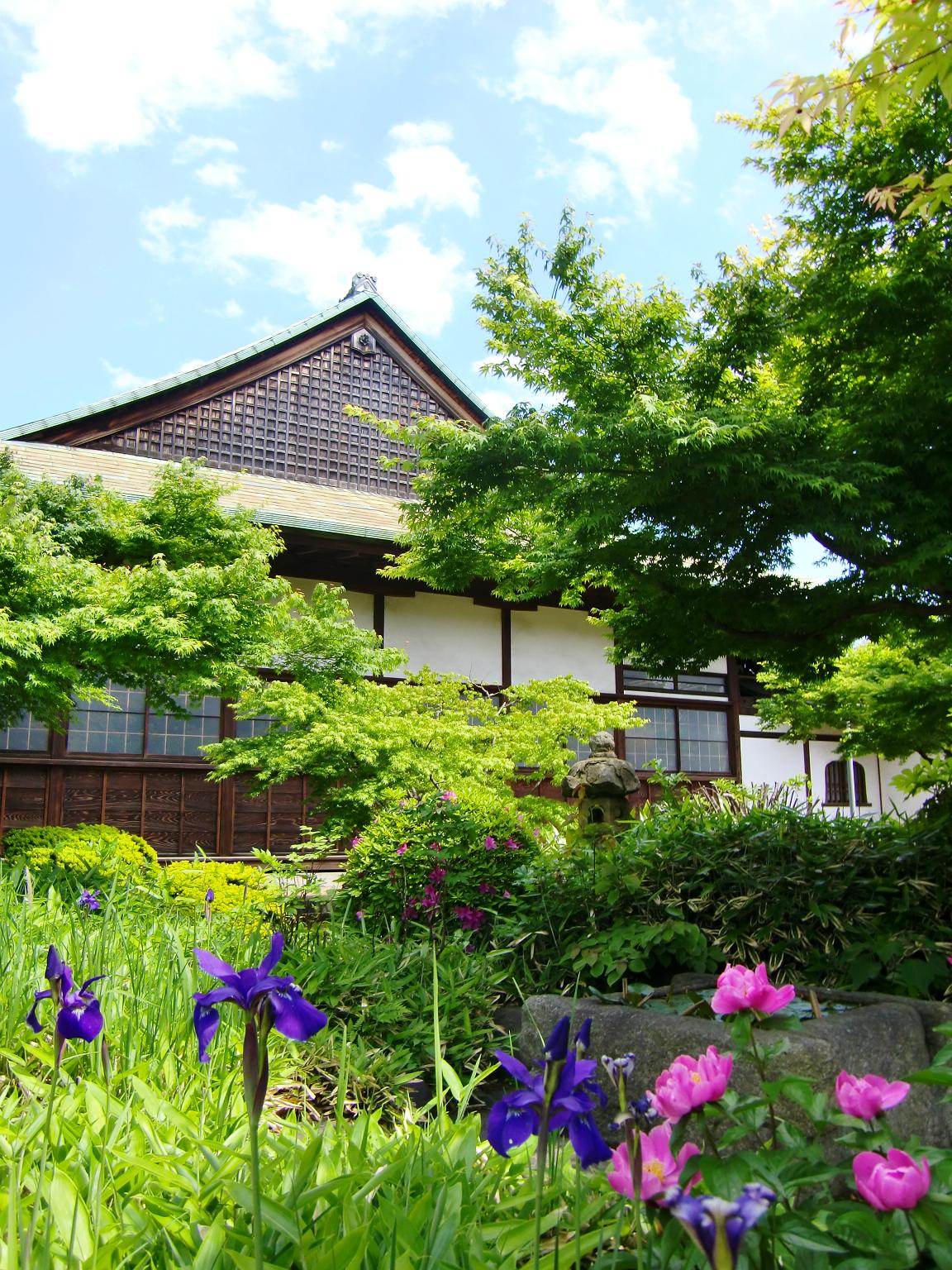 東海寺（東京都品川区）_c0219820_2392346.jpg