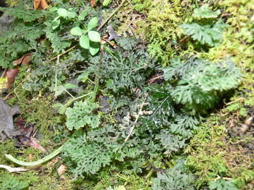 d0187020_22464151.jpg
