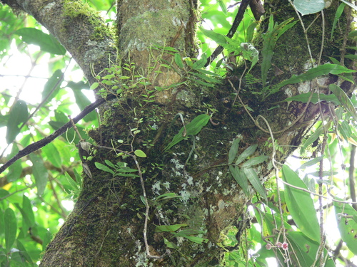 d0187020_2257447.jpg