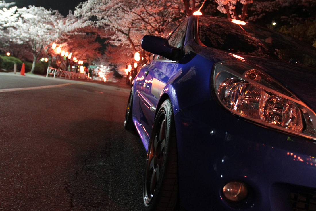 SAKURA_e0190023_23333264.jpg