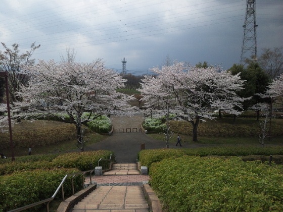 b0199924_812152.jpg