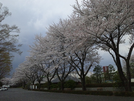 b0199924_814810.jpg