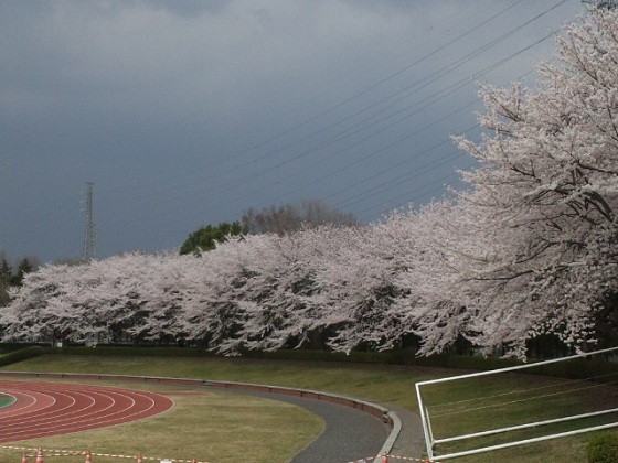 b0199924_85991.jpg