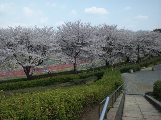 b0199924_86134.jpg