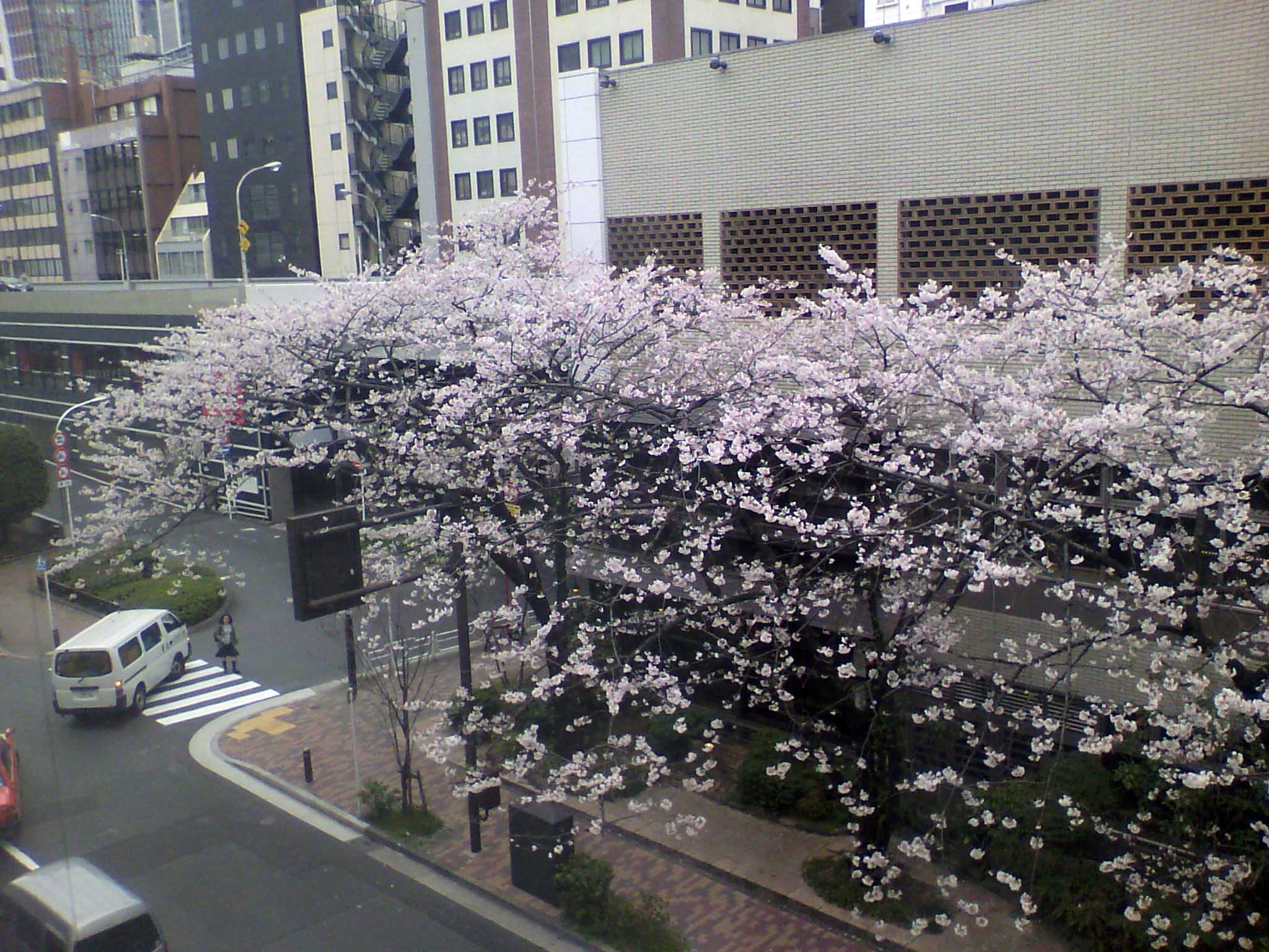 d0170324_17164334.jpg