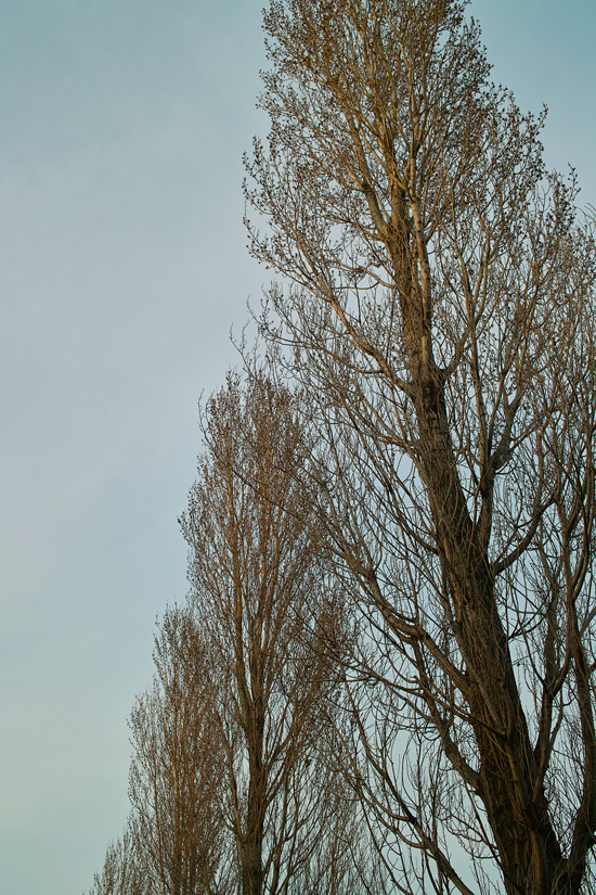 c0223825_2185524.jpg