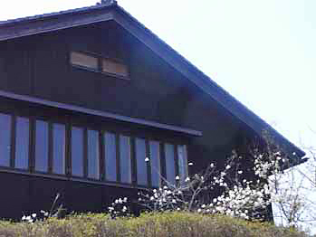 d0184326_6455477.jpg