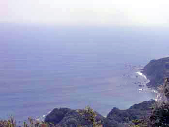 d0184326_646898.jpg