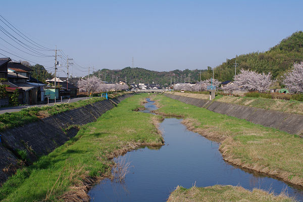 法勝寺～伯太町さくらツーリング_f0007926_21234273.jpg