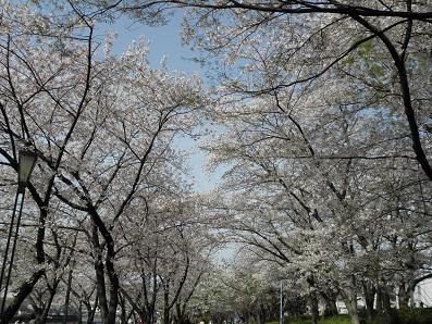 c0201427_20491119.jpg