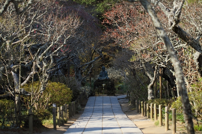 鎌倉散歩　#9 －東慶寺の桜（前編）－_b0169330_7505670.jpg