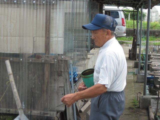 阿部養魚場さんの巻_f0214235_14244650.jpg