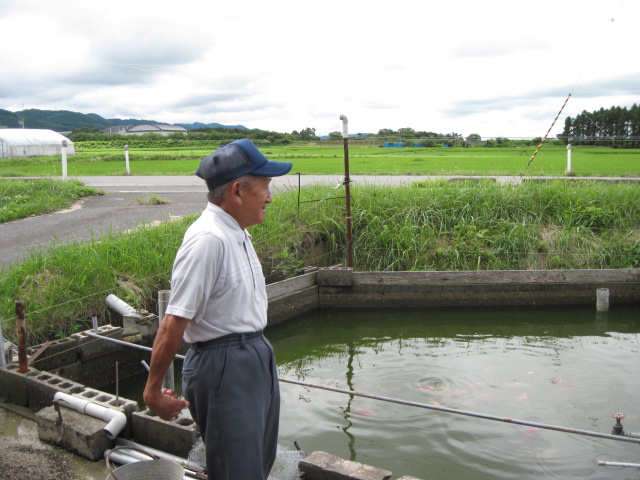 阿部養魚場さんの巻_f0214235_14382847.jpg