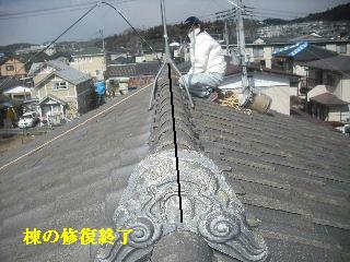 屋根から・・・地上に_f0031037_20441391.jpg