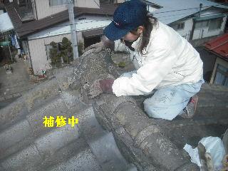 屋根から・・・地上に_f0031037_20442322.jpg