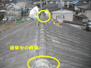 屋根から・・・地上に_f0031037_20454870.jpg