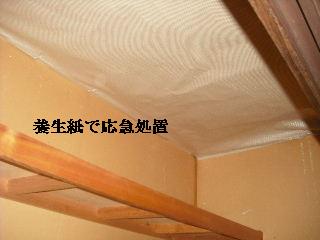 屋根から・・・地上に_f0031037_20504162.jpg