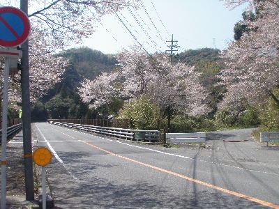 a0054240_22273654.jpg