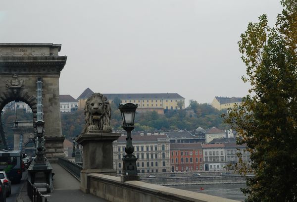 e0098241_11131983.jpg
