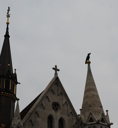 e0098241_11152736.jpg