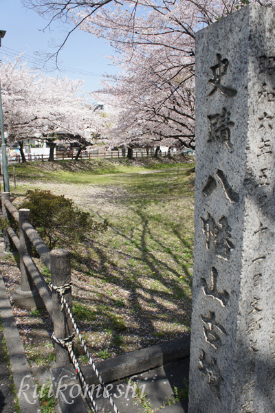 鶴舞公園　お花見　２_a0135743_195334100.jpg