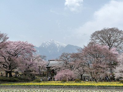 かたかご_f0019247_0131089.jpg
