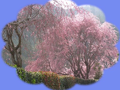 d0048350_20343765.jpg
